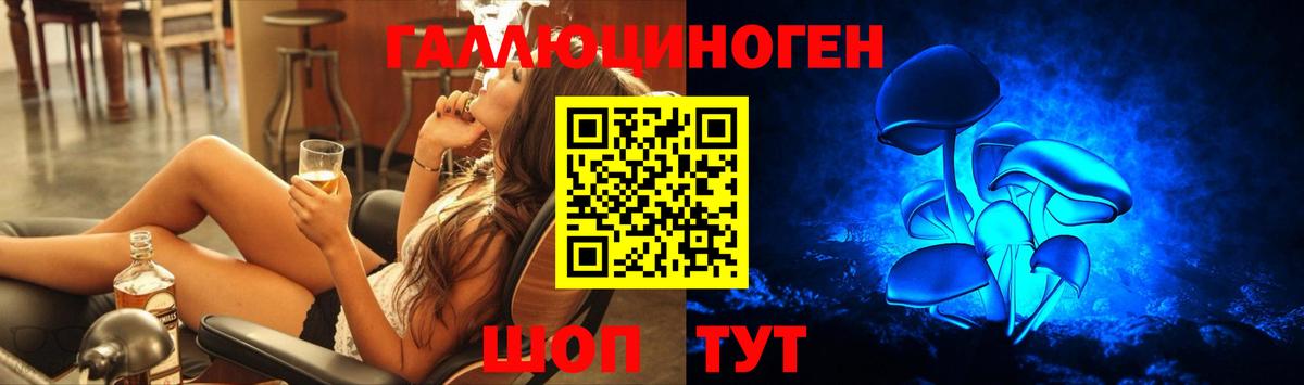 купить наркотики сайты  Галлюциногенные грибы Psilocybe  Вход с VPN  Выкса 